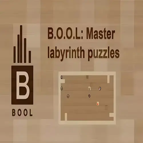 BOOL – Master Labyrinth Puzzles