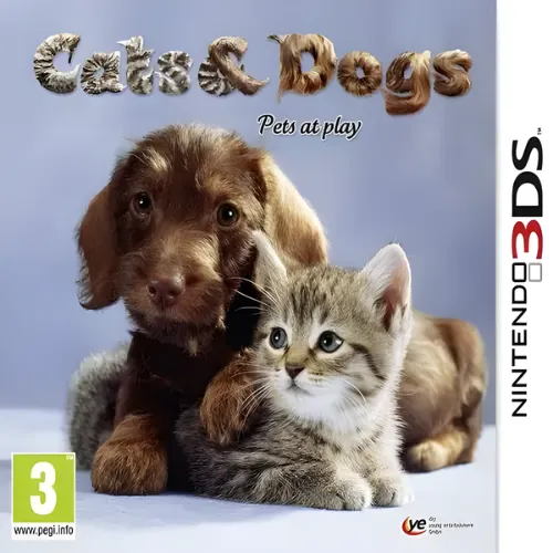 Cats and Dogs – Pets At Play