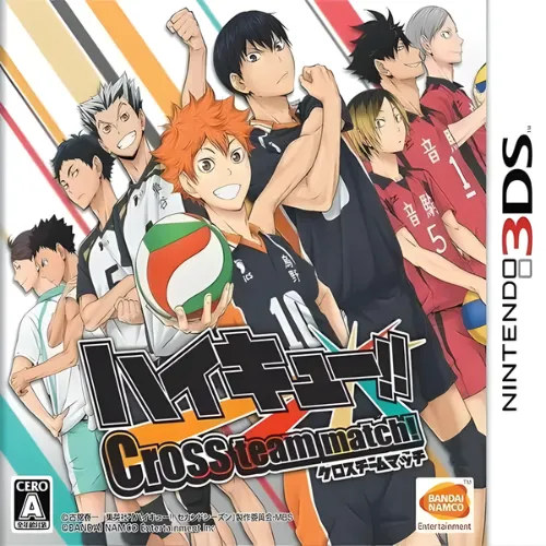 Haikyu Cross Team Match